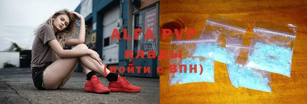 стаф Абаза