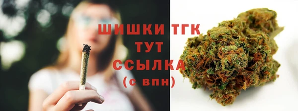стаф Абаза