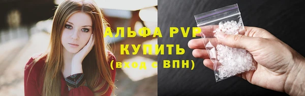 стаф Абаза