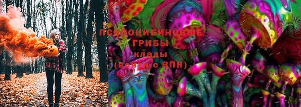 стаф Абаза